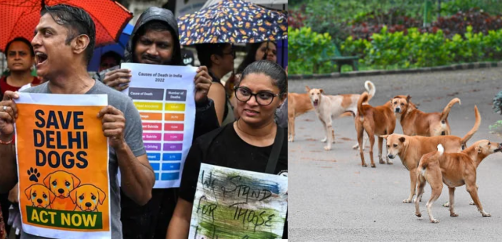 Delhi Dog Protest