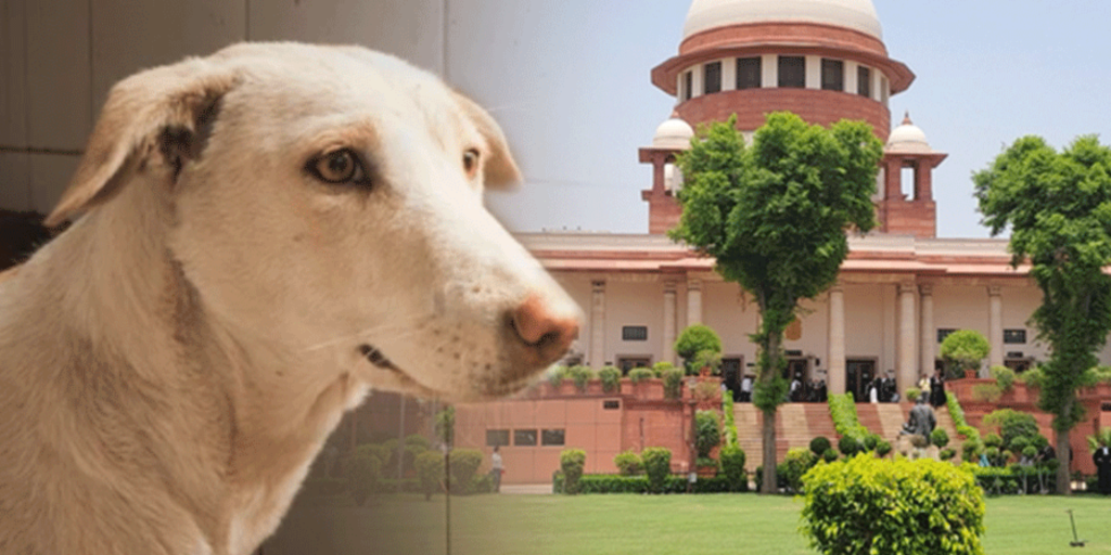 Delhi Dog Protest 2025