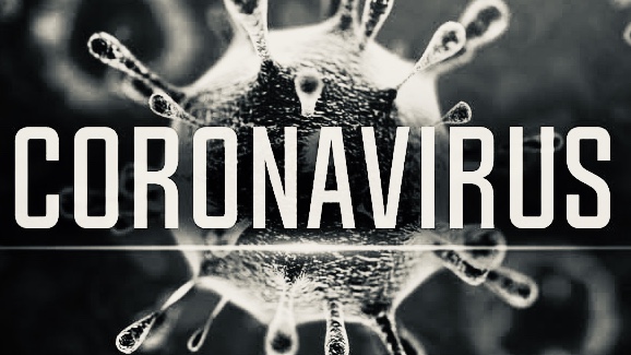 How does the CORONAVIRUS  impact the body?