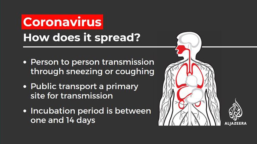 How Does Coronavirus Spread?