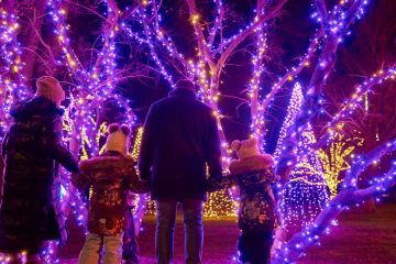 Holiday Lights Festival 2024: A Dazzling Celebration of Festive Lights and Holiday Spirit